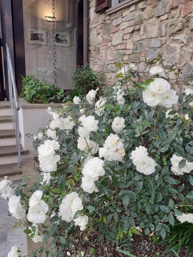 Hotel Le Macine Montaione Luaran gambar