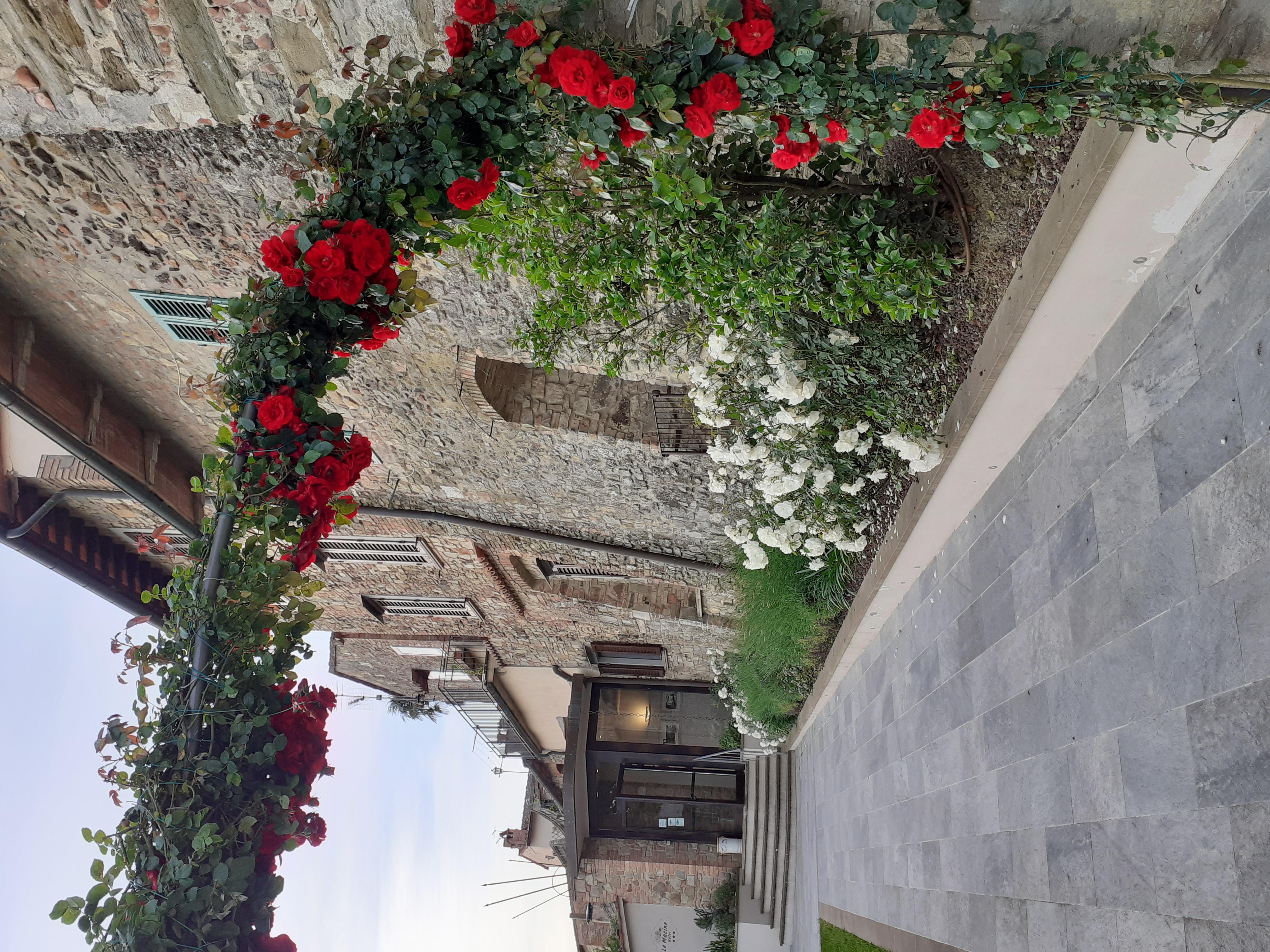 Hotel Le Macine Montaione Luaran gambar