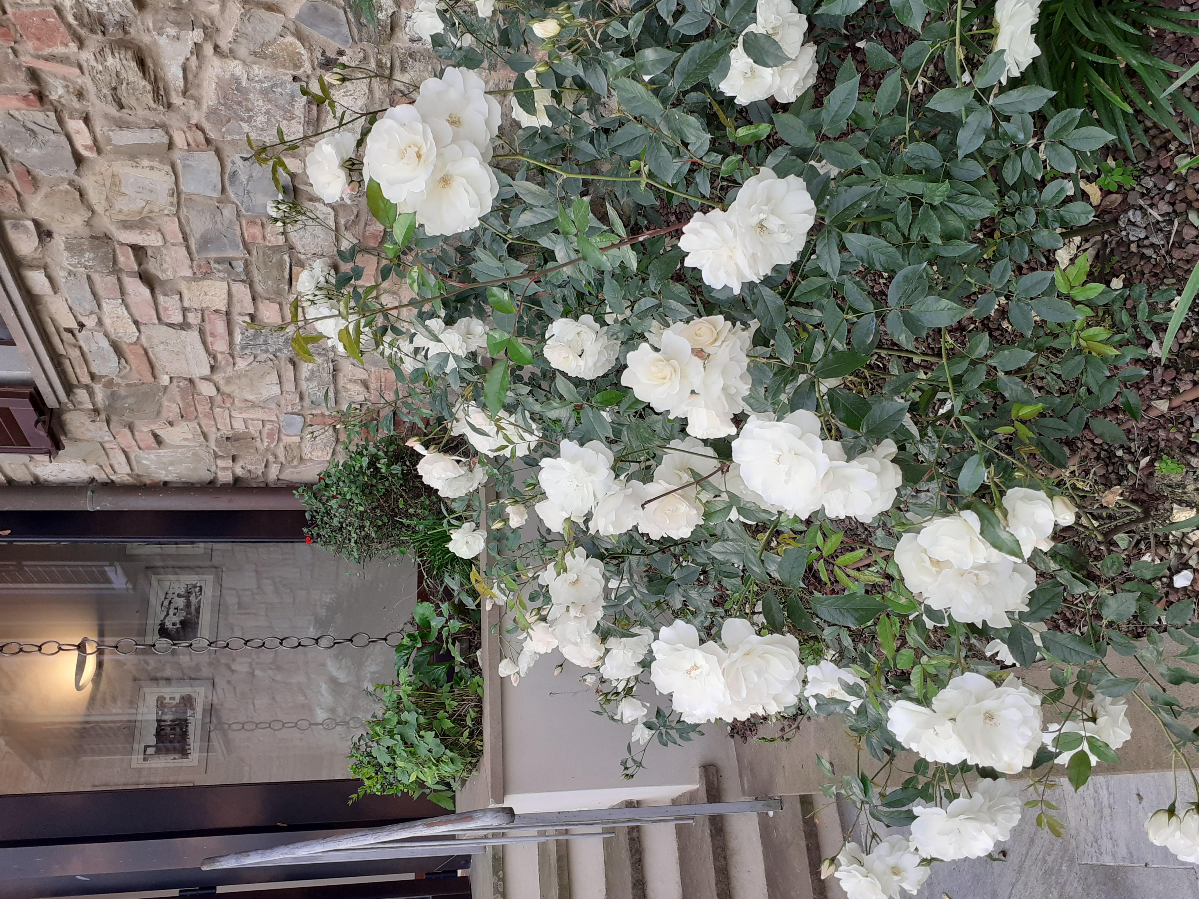 Hotel Le Macine Montaione Luaran gambar